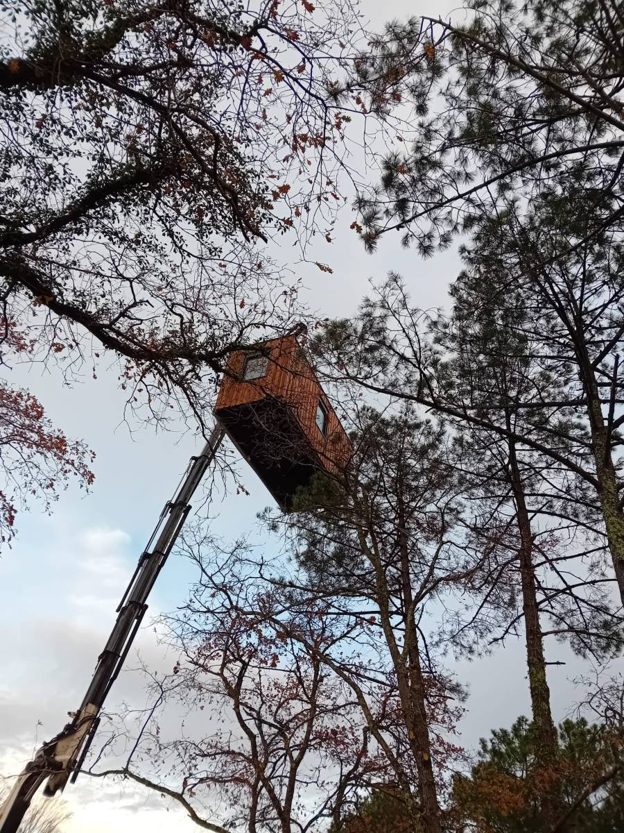 Installation millimétrée du module technique au cœur de la forêt dunaire