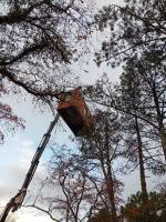 Notre zone d'activité pour ce service Création d'une maison en bois sans fondation avec terrasse de plain-pied pour une habitation écologique et moderne